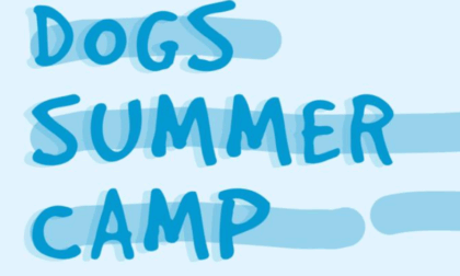 Ritorna il summer camp per cani con “Gli Amici di Ceci”