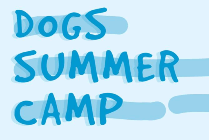 Ritorna il summer camp per cani con “Gli Amici di Ceci”