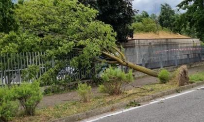 Maltempo, continua la conta dei danni: chiuso un parco