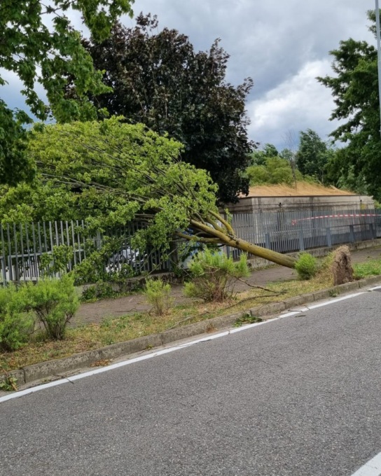 Maltempo, continua la conta dei danni: chiuso un parco