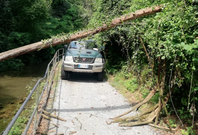 Non c’è pace per lo Stallazzo: alzaia ostruita da un albero caduto