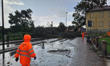 Tromba d’aria, Verderio conta i danni: tetti distrutti e alberi sradicati FOTO e VIDEO