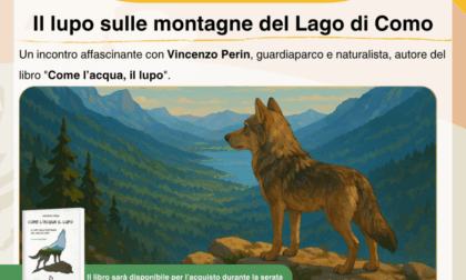 Un incontro sul lupo e la sua diffusione sulle nostre montagne