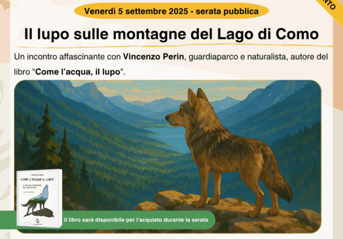 Un incontro sul lupo e la sua diffusione sulle nostre montagne