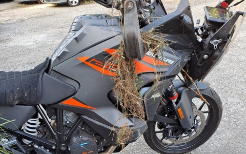 Cade dalla moto sulla provinciale, gravissimo un 45enne