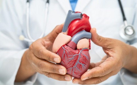 Giornata mondiale del Cuore: gli Ospedali di Lecco e Merate aderiscono all’(H)Open Week sulle malattie cardiovascolari