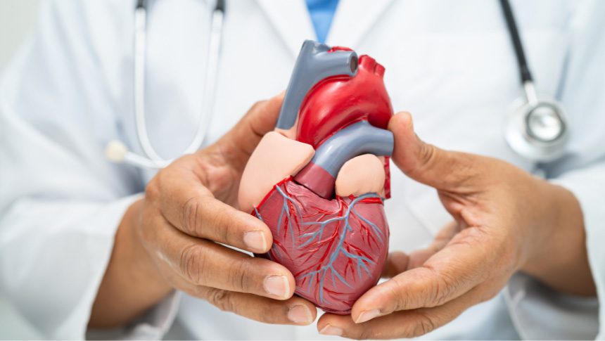 Giornata mondiale del Cuore: gli Ospedali di Lecco e Merate aderiscono all’(H)Open Week sulle malattie cardiovascolari