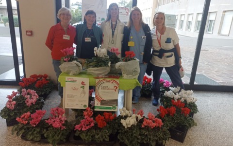 Gruppo italiano Lotta alla Sclerodermia: successo per la vendita dei ciclamini all’ospedale di Merate