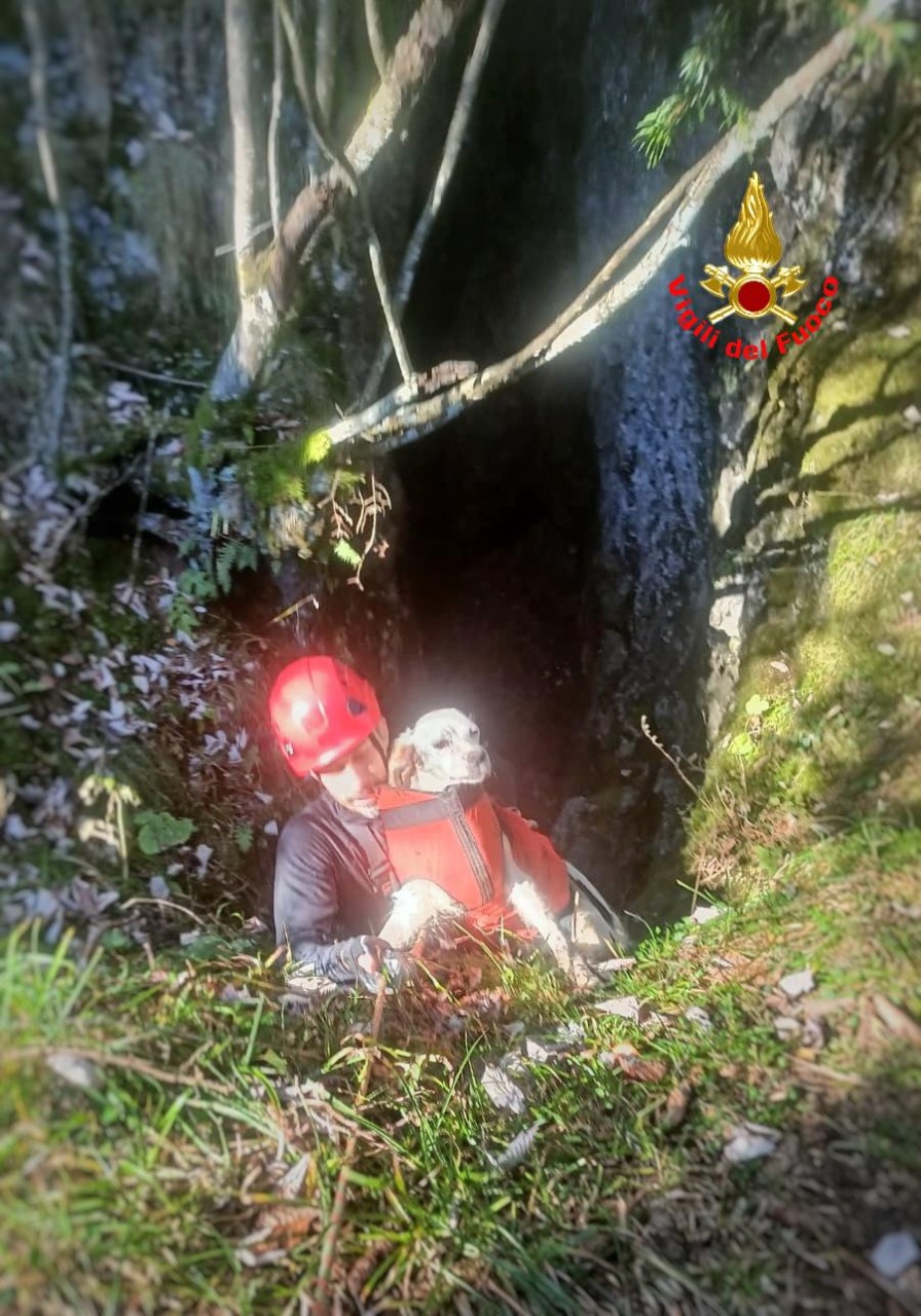 Finisce in una forra: la cagnolina Fiaba salvata dai Vigili del fuoco