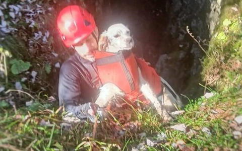 Finisce in una forra: la cagnolina Fiaba salvata dai Vigili del fuoco