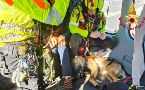 Morso da una vipera, pastore tedesco tratto in salvo sull’elicottero Drago