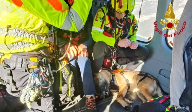 Morso da una vipera, pastore tedesco tratto in salvo sull’elicottero Drago