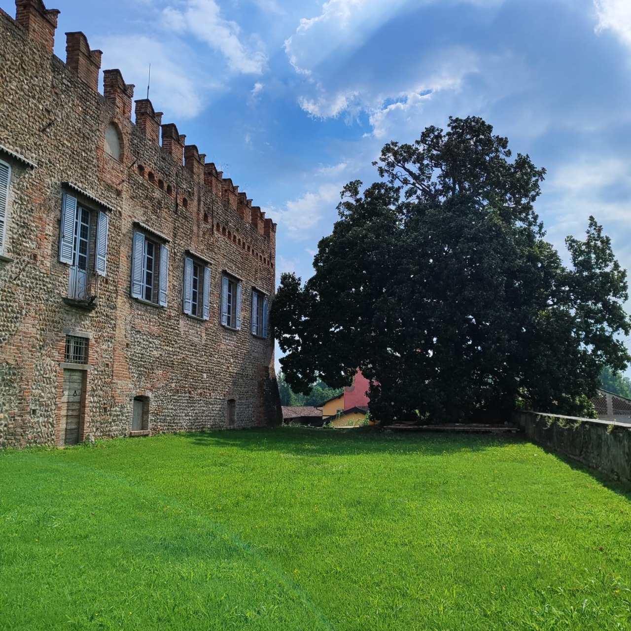Alberi monumentali: sette sono nel territorio meratese, casatese e bergamasco