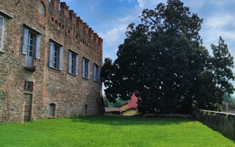 Alberi monumentali: sette sono nel territorio meratese, casatese e bergamasco