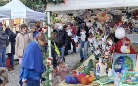 Cosa fare a Merate, Brianza e dintorni: gli eventi del weekend dal 7 al 9 novembre 2025