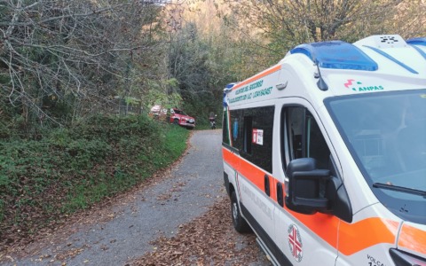 Non rientra a casa per pranzo, trovato morto nei boschi