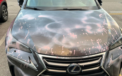 Auto imbrattata all’assessora, il Pd Merate esprime “piena solidarietà”