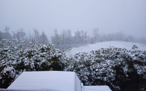 Il Meratese, ma non solo, si tinge di bianco: è arrivata la neve – LE FOTO