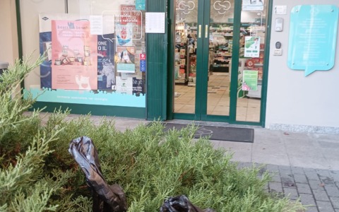 Lascia i sacchetti con la cacca del cane davanti a case e negozi: caccia all’incivile