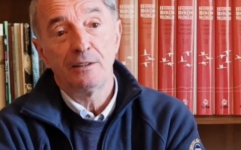 Dipinto donato a Villa Greppi dalla vedova del benefattore Enrico Albertini