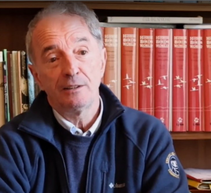 Dipinto donato a Villa Greppi dalla vedova del benefattore Enrico Albertini