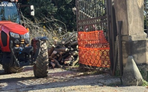 Abbattuta la storica parrotia della Limonera