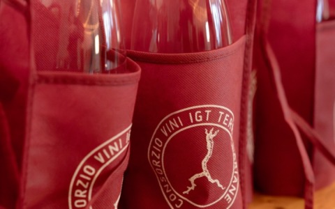 Cosa fare a Merate, Brianza: ecco gli eventi del weekend dal 21 al 23 novembre 2025