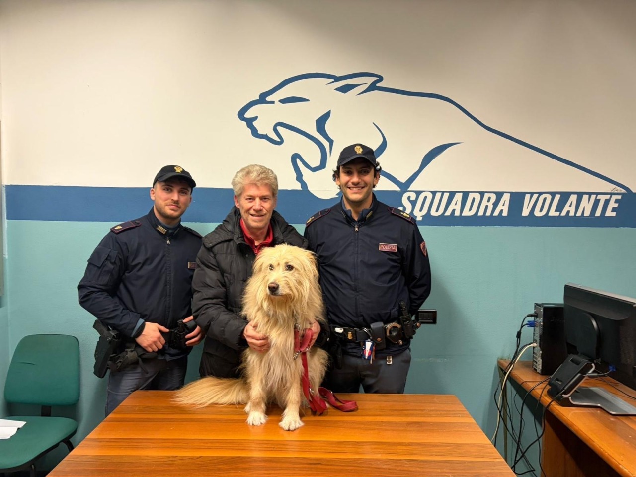 Vaga impaurito in mezzo alla strada, la Polizia di Stato di Lecco salva il cane Panino