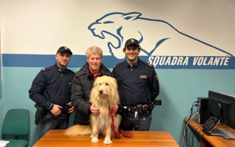 Vaga impaurito in mezzo alla strada, la Polizia di Stato di Lecco salva il cane Panino