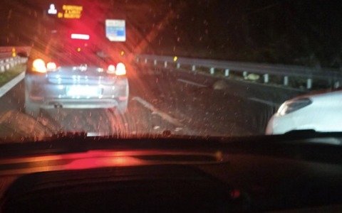 Branco di cinghiali a spasso sulla Statale 36: investiti da un SUV