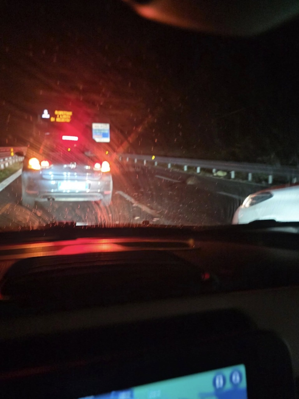 Branco di cinghiali a spasso sulla Statale 36: investiti da un SUV