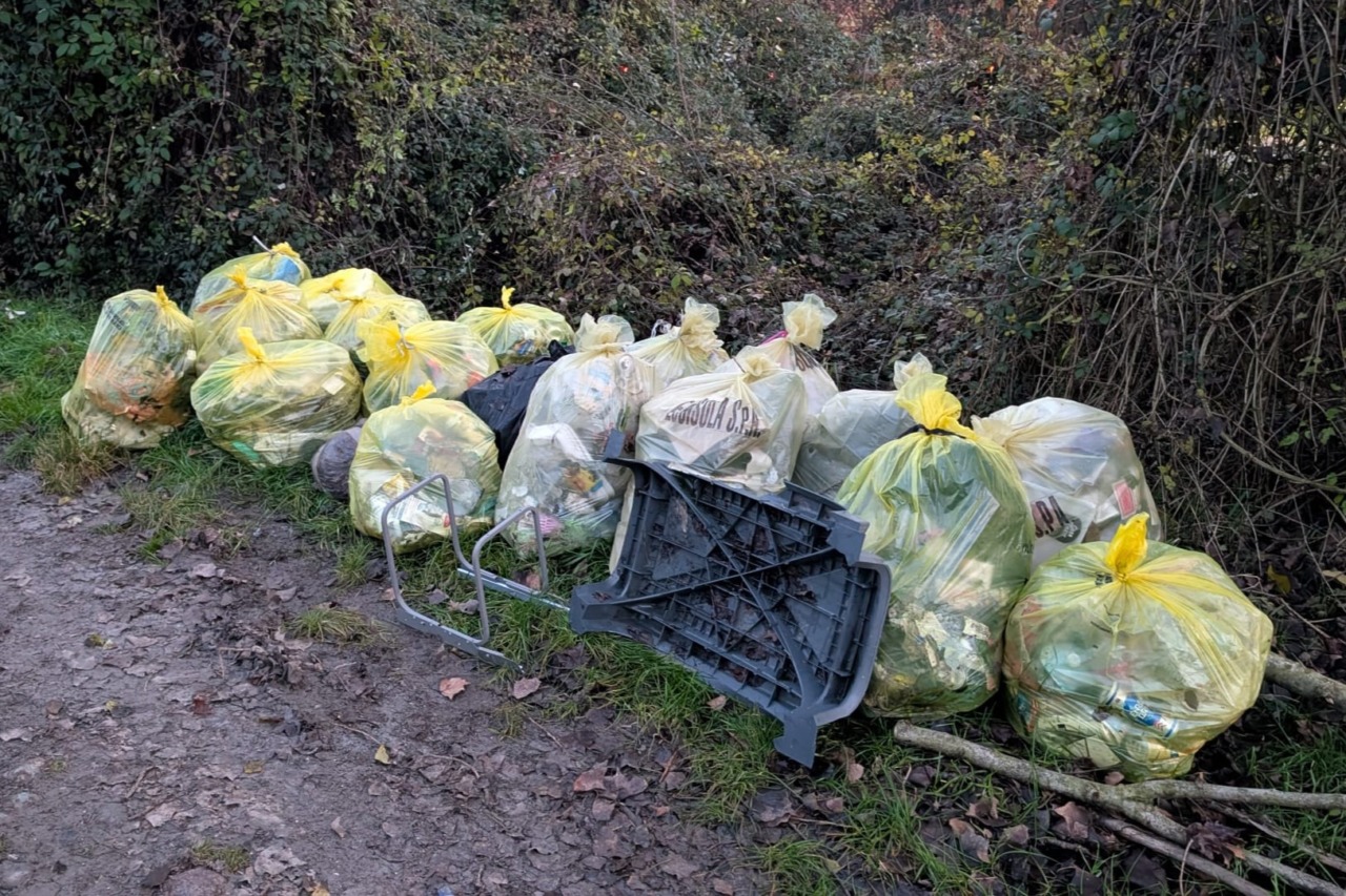 Volontari in campo per ripulire il Parco del Camandellino, il grazie del sindaco