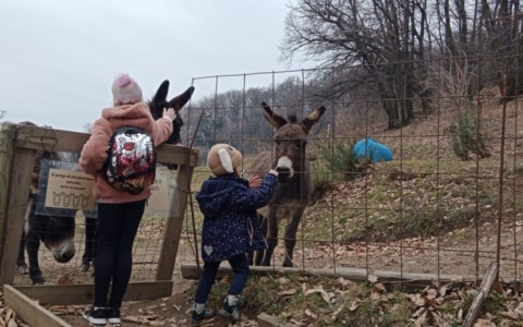 Il centro estivo diventa invernale con NatuRapello Winter edition