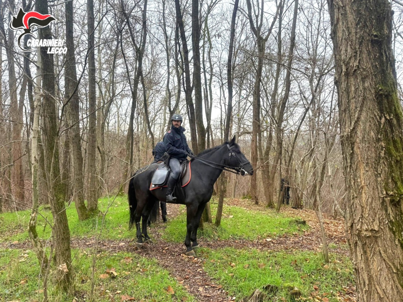 Boschi della droga: in campo contro lo spaccio anche i Carabinieri a cavallo