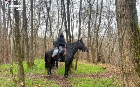 Boschi della droga: in campo contro lo spaccio anche i Carabinieri a cavallo