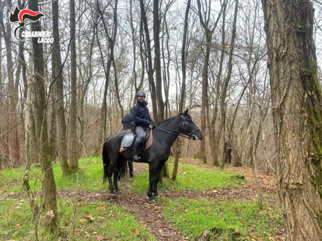 Boschi della droga: in campo contro lo spaccio anche i Carabinieri a cavallo