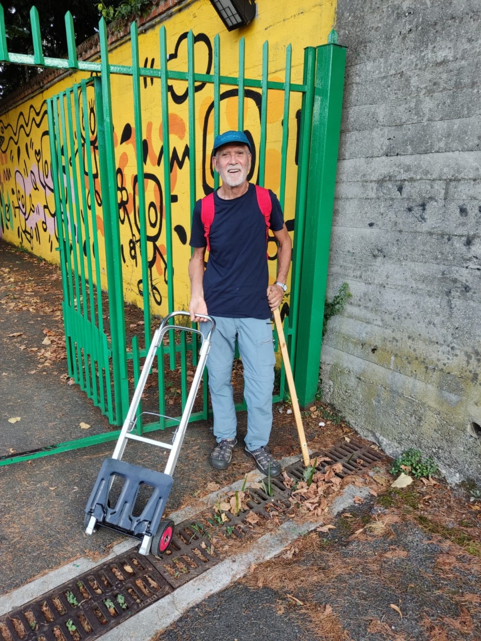 Quando muore una pianta, i nostri amministratori pensino a compensarla