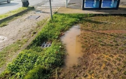 Il parcheggio dei disabili si allaga: “E’ dal 2018 che l’ho segnalato…”