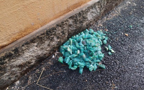 Merate, Enpa avverte: “Possibile presenza di esche avvelenate in via Verdi”