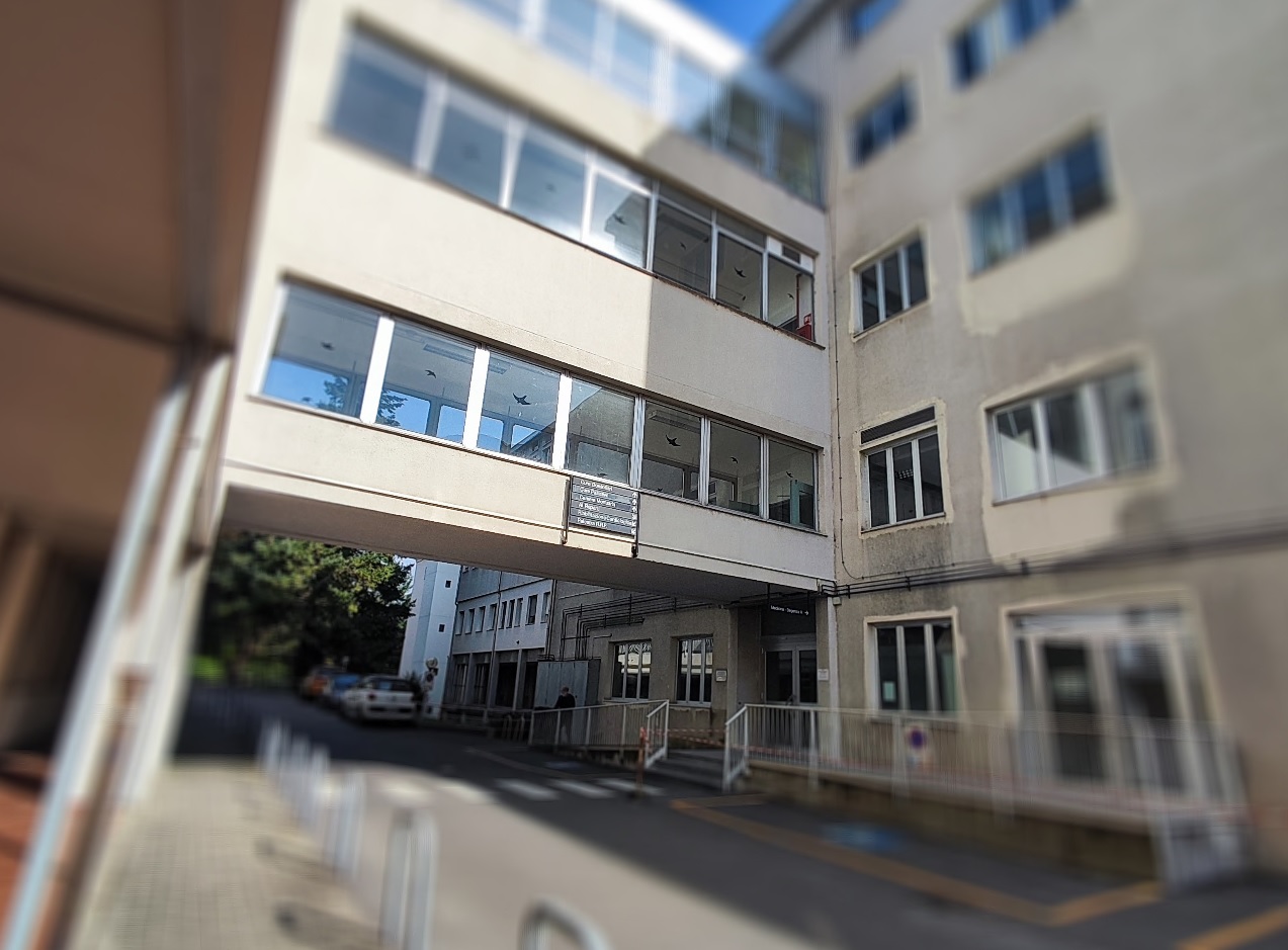 Denuncia un collega di molestie, ora la giovane è senza un lavoro