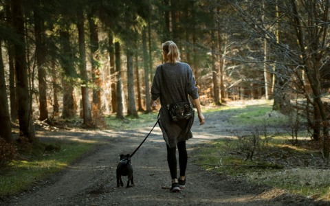 Campagna per la raccolta delle deiezioni canine a Montevecchia