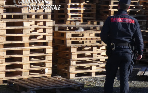 Filiera del legno: controlli, denunce e sequestri dei Carabinieri Forestali della Bergamasca