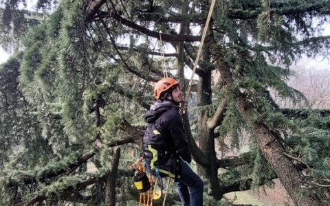 Enaip Monticello: aperte le iscrizioni per i corsi di tree climbing e per l’utilizzo di prodotti fitosanitari