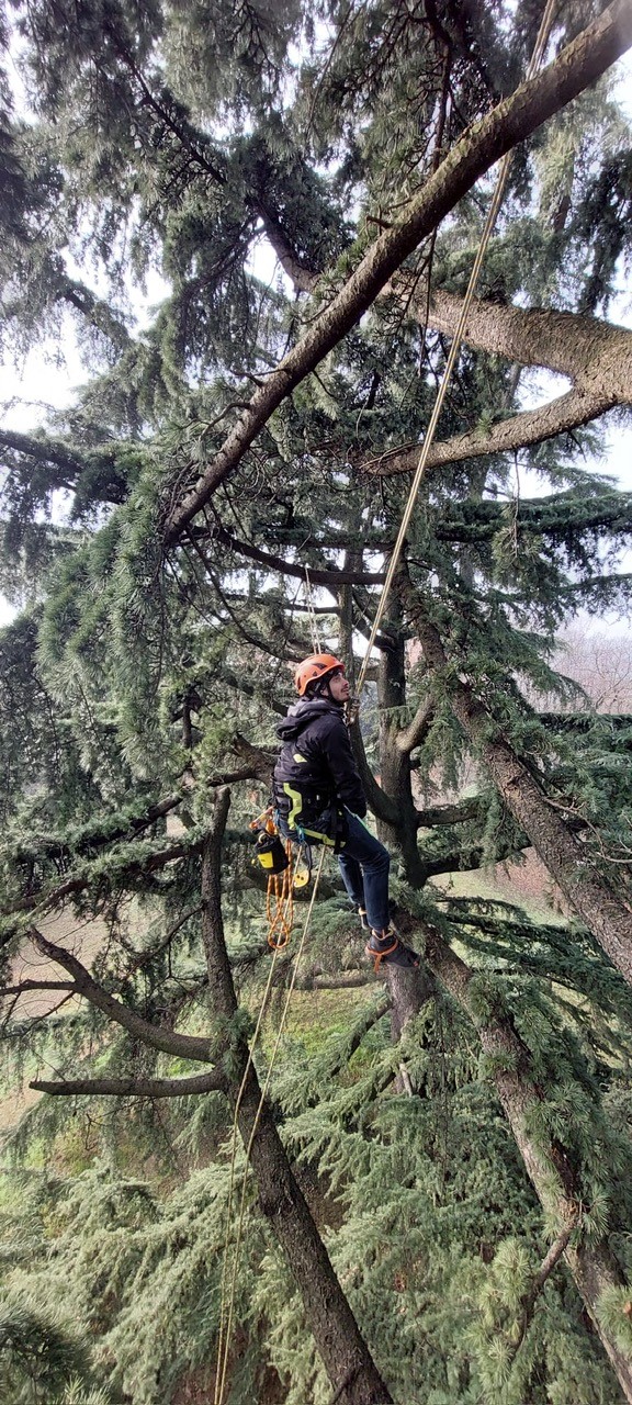 Enaip Monticello: aperte le iscrizioni per i corsi di tree climbing e per l’utilizzo di prodotti fitosanitari