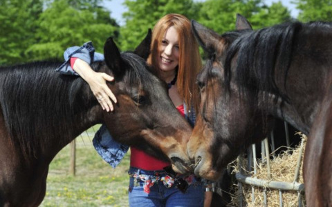 Gli equidi come animali d’affezione, l’onorevole Brambilla: “Gli amici cavalli non si mangiano”