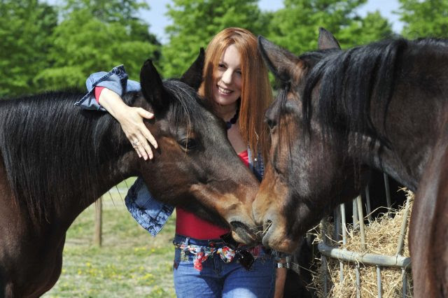 Gli equidi come animali d’affezione, l’onorevole Brambilla: “Gli amici cavalli non si mangiano”