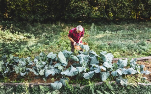 Orto e naturopatia: un marzo da coltivare a Cascina Rapello