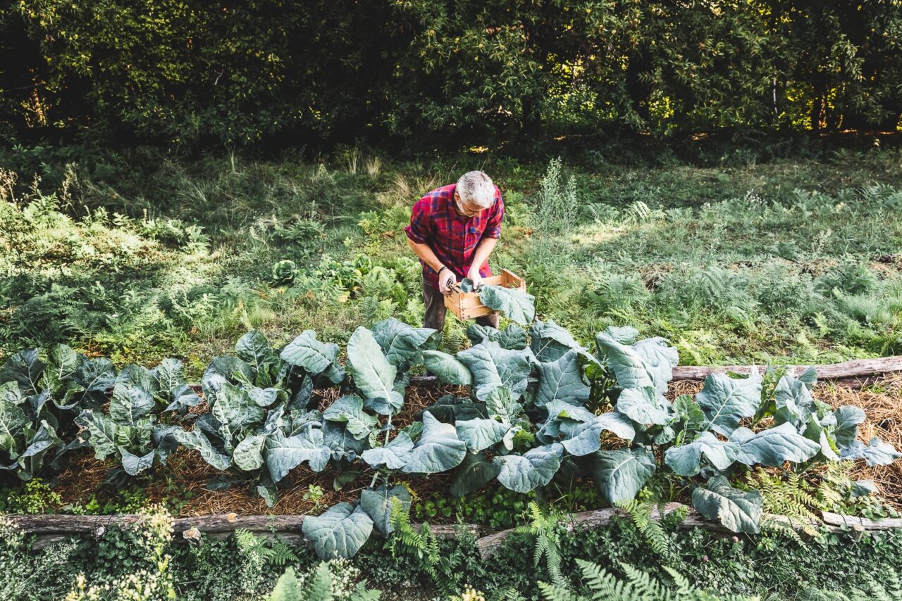 Orto e naturopatia: un marzo da coltivare a Cascina Rapello