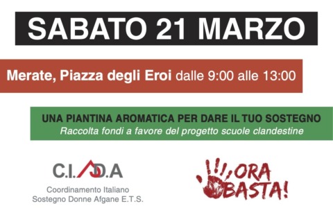 Una piantina per la libertà: a Merate la raccolta fondi di “Ora Basta” per sostenere le donne afghane