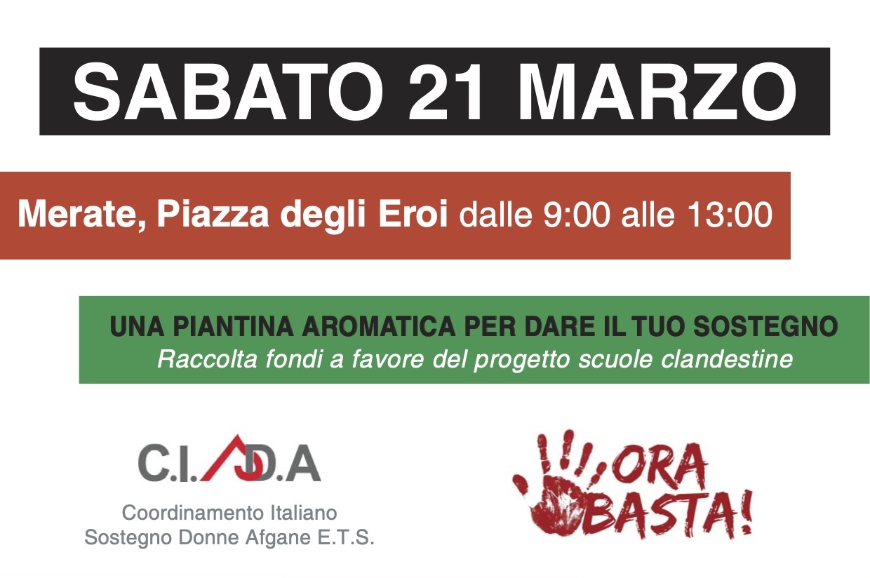 Una piantina per la libertà: a Merate la raccolta fondi di “Ora Basta” per sostenere le donne afghane